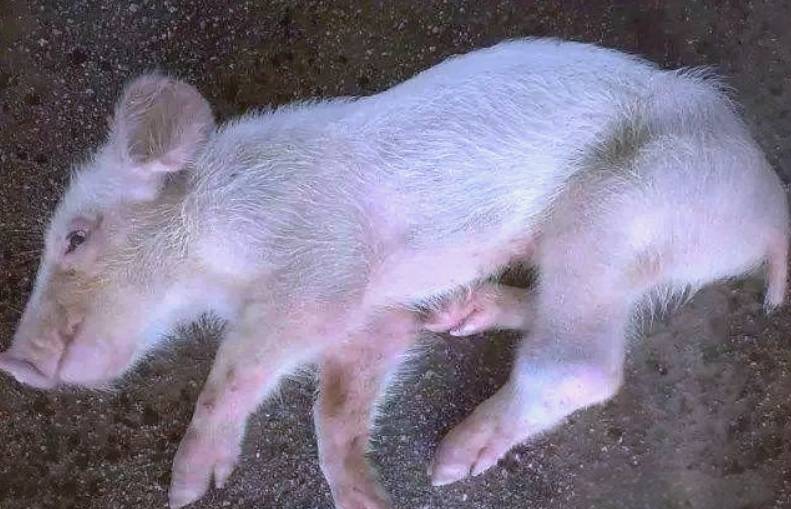 微信截图_20260126091816.jpg 微信截图_20260126091816.jpg