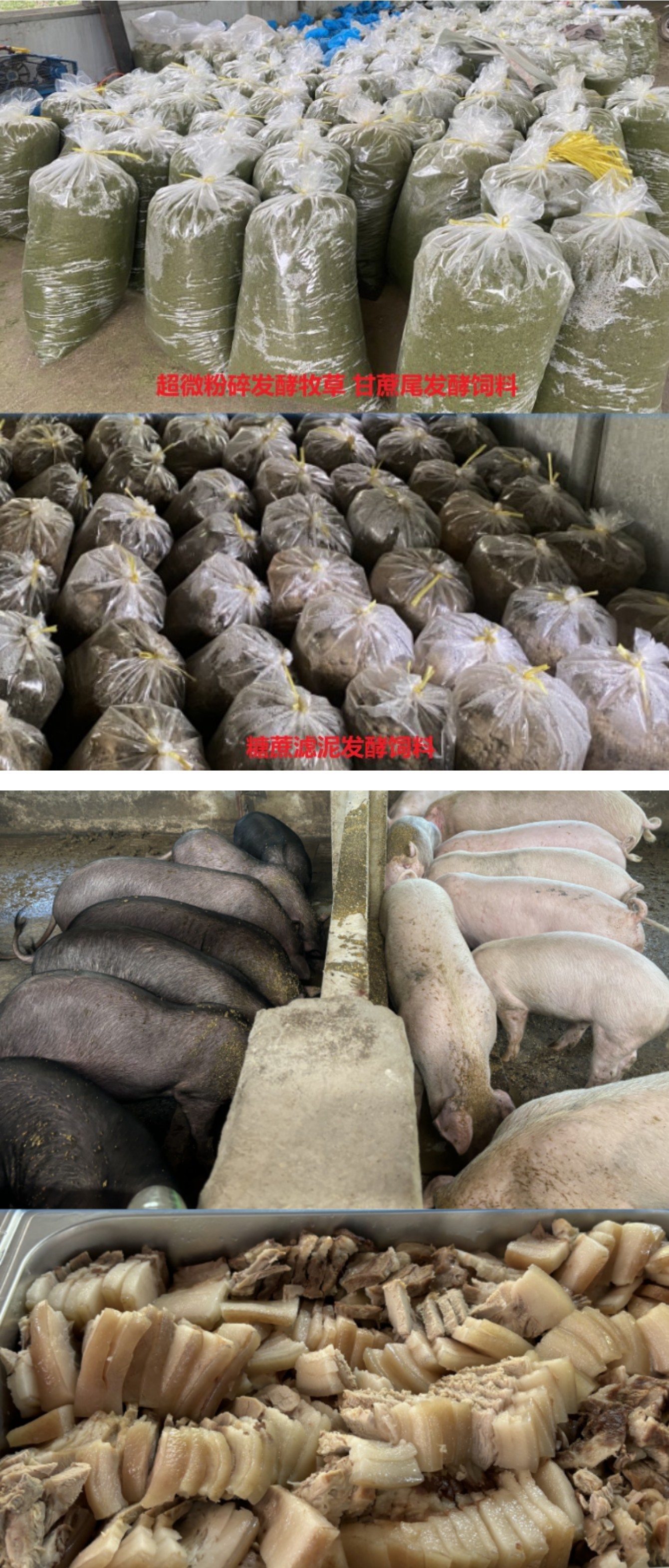 节粮养殖1.jpg 节粮养殖1.jpg