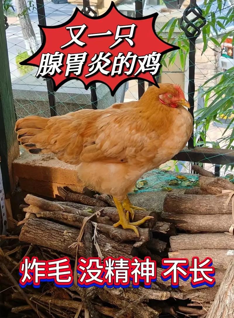 微信图片_20260226102035.jpg 微信图片_20260226102035.jpg