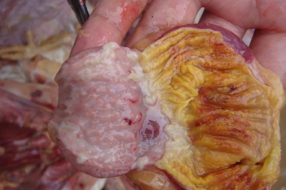 微信图片_20260226102040.jpg 微信图片_20260226102040.jpg