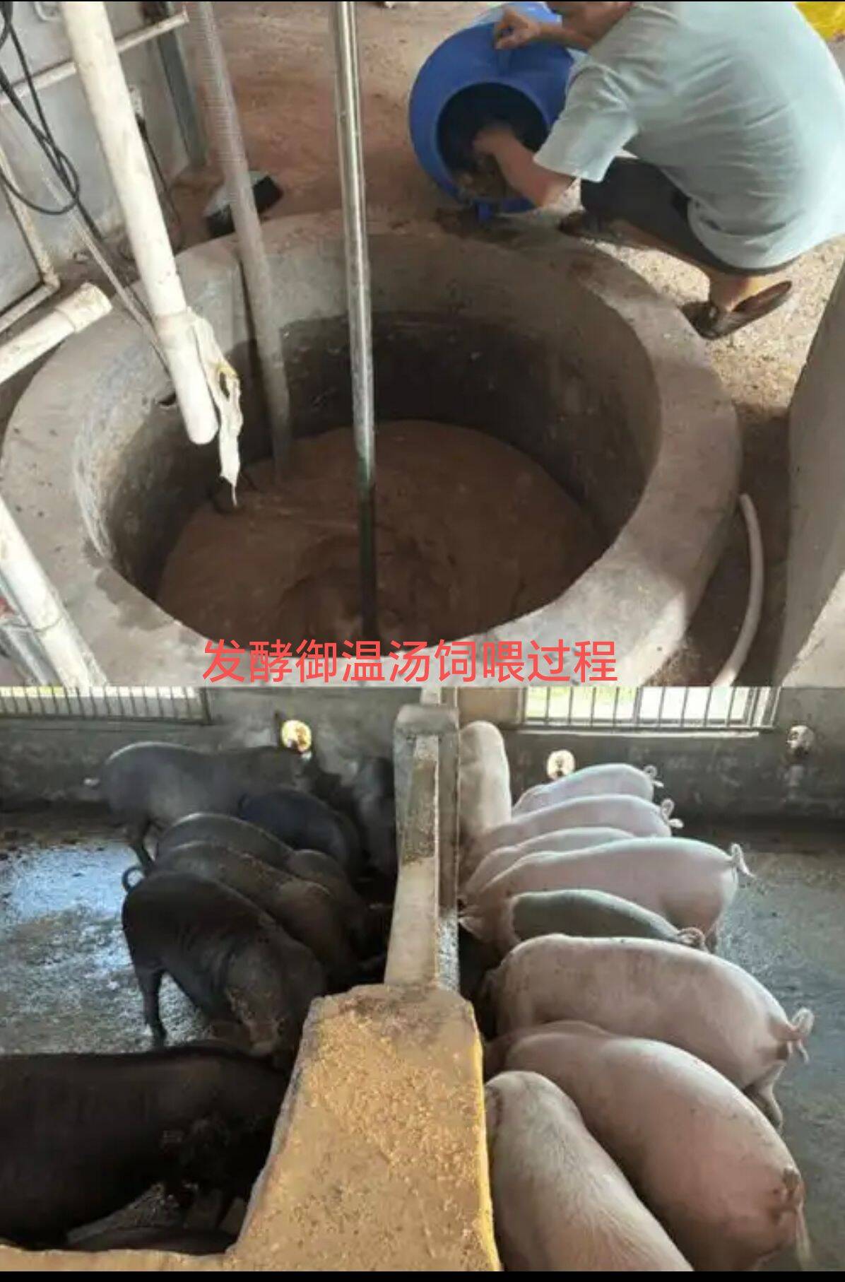 380a6e53d37ffa8843bc71633357c4fb_720.jpg 380a6e53d37ffa8843bc71633357c4fb_720.jpg