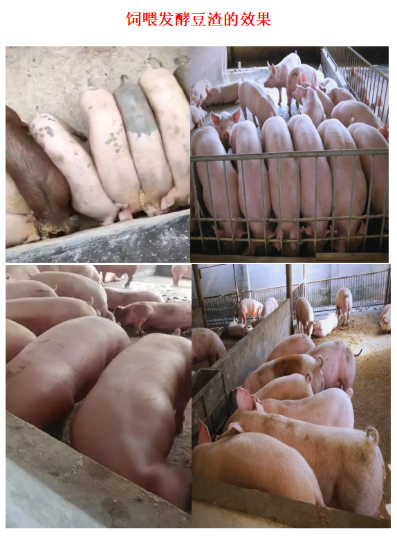 6198f58a8a4f368f0afb1bdbb46b063f.png 6198f58a8a4f368f0afb1bdbb46b063f.png