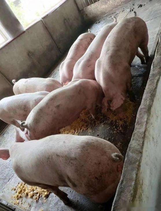 微信图片_20260226154322.jpg 微信图片_20260226154322.jpg