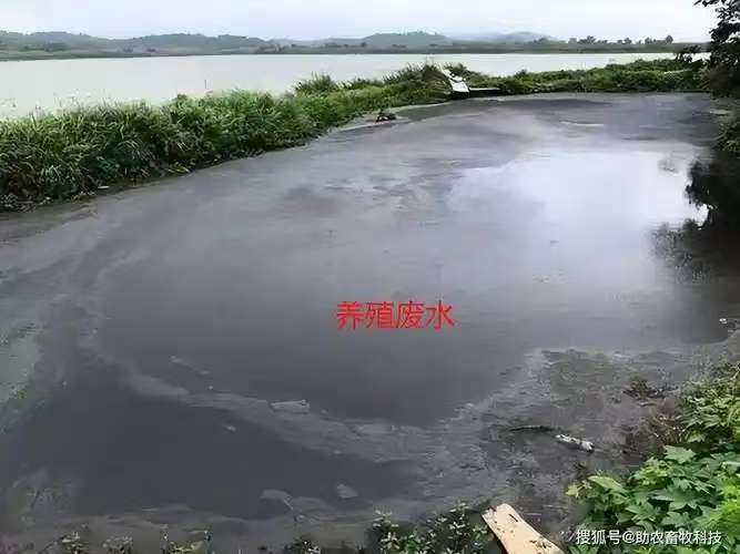 36b993cfaee0afed226b2f0da98a1a4c.jpg 36b993cfaee0afed226b2f0da98a1a4c.jpg