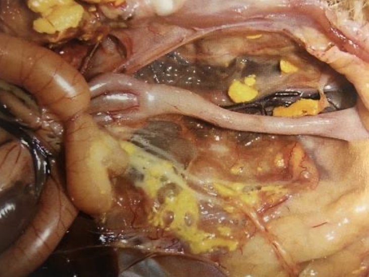 微信截图_20260302102006.jpg 微信截图_20260302102006.jpg