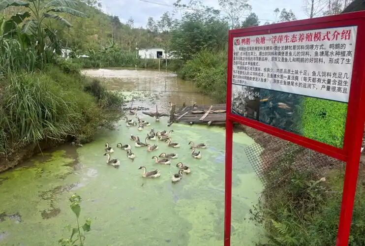 5174a3da7d6795b9ef60509ac8f16c60.jpg 5174a3da7d6795b9ef60509ac8f16c60.jpg