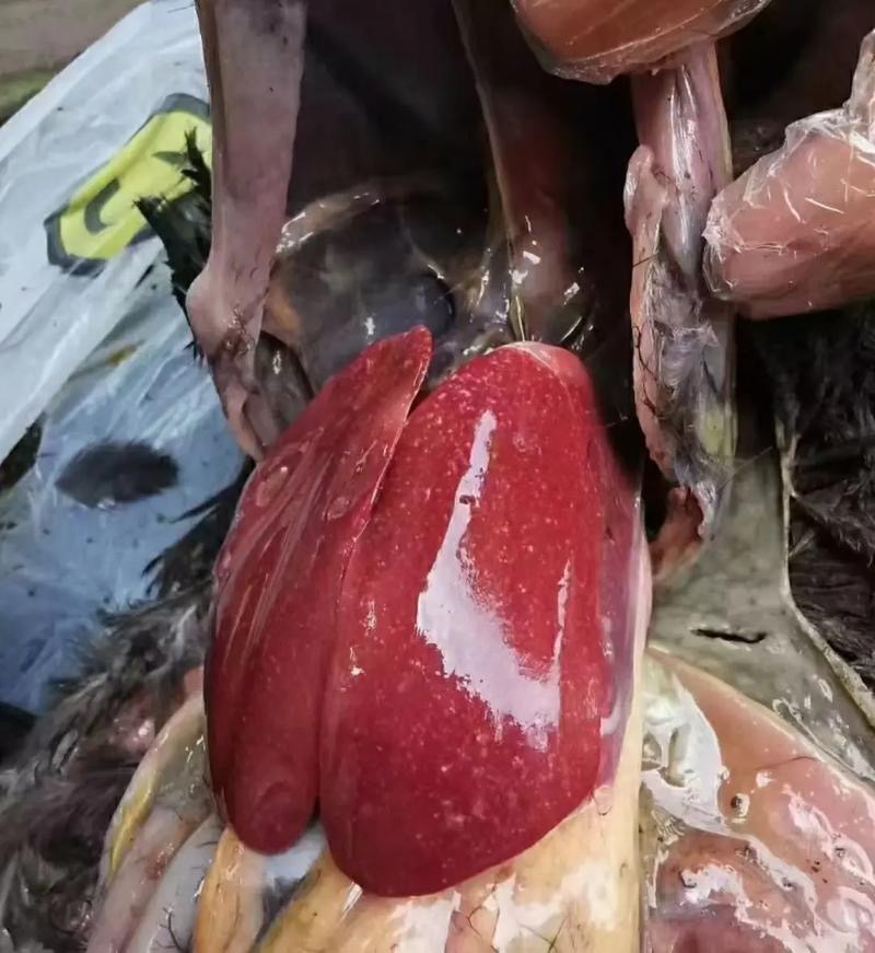 微信图片_20260303091045.jpg 微信图片_20260303091045.jpg