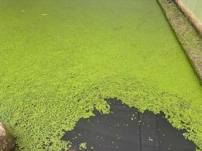 faacc67af9f33b13bef150b279e38846.jpg faacc67af9f33b13bef150b279e38846.jpg