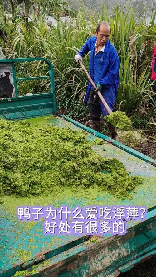 1d1f941f4fa3ded49ad27be2c1853d50_720.jpg 1d1f941f4fa3ded49ad27be2c1853d50_720.jpg