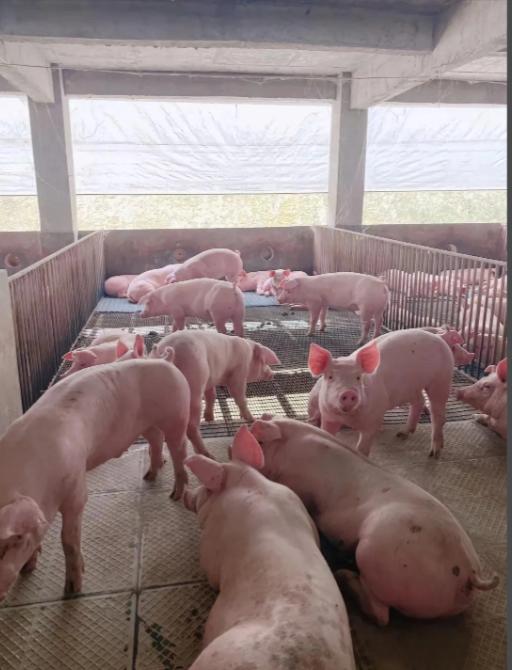 fad653bb-e9a8-4909-8a09-172653396793.png fad653bb-e9a8-4909-8a09-172653396793.png