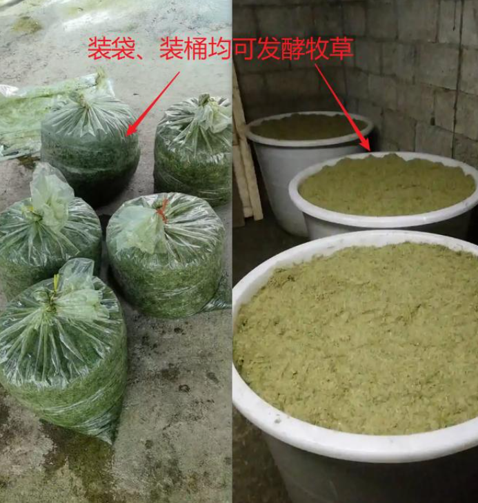 17421962622534482.png 17421962622534482.png