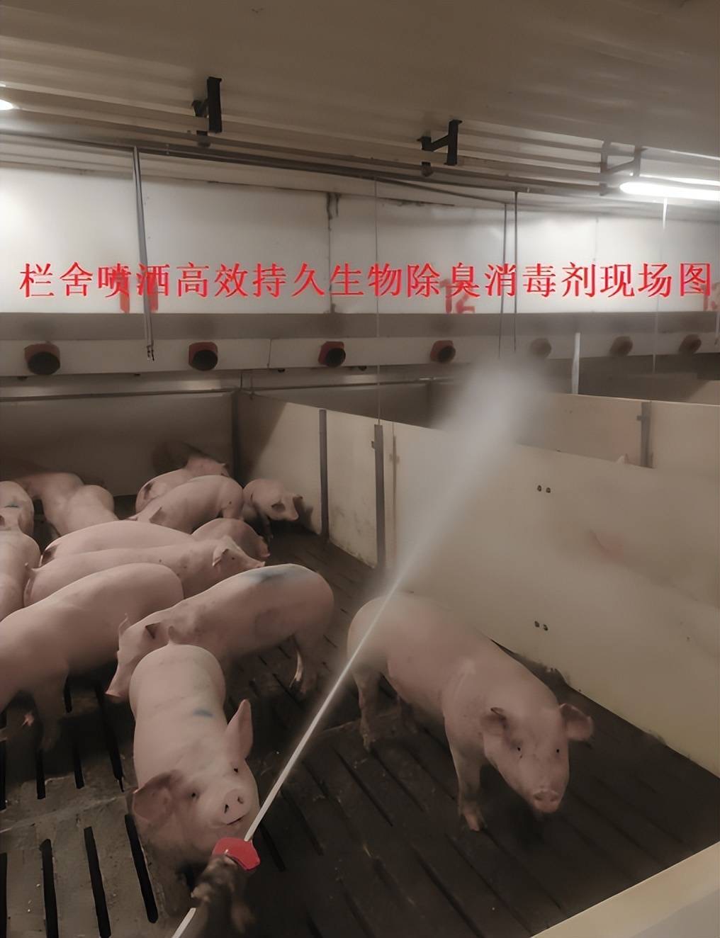 微信图片_20260303104720.jpg 微信图片_20260303104720.jpg