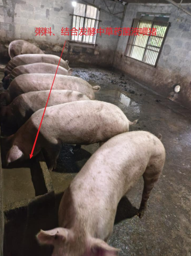 17421963019880903.png 17421963019880903.png