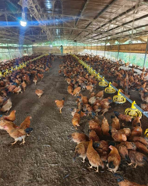 截图20260304093532.png 截图20260304093532.png