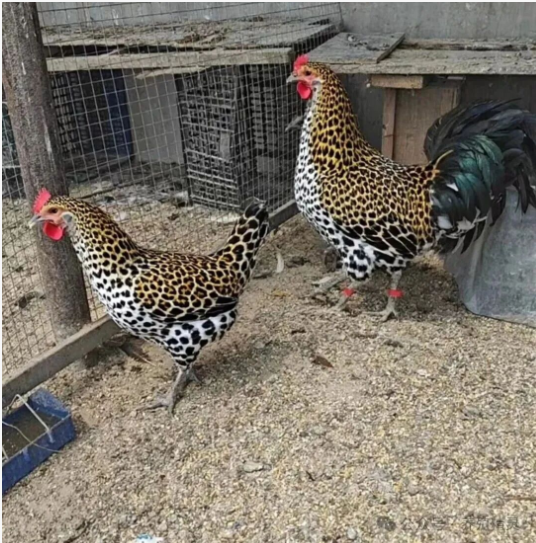 c18e5e7b-e453-48d7-8269-b07fcadc23ec.png c18e5e7b-e453-48d7-8269-b07fcadc23ec.png