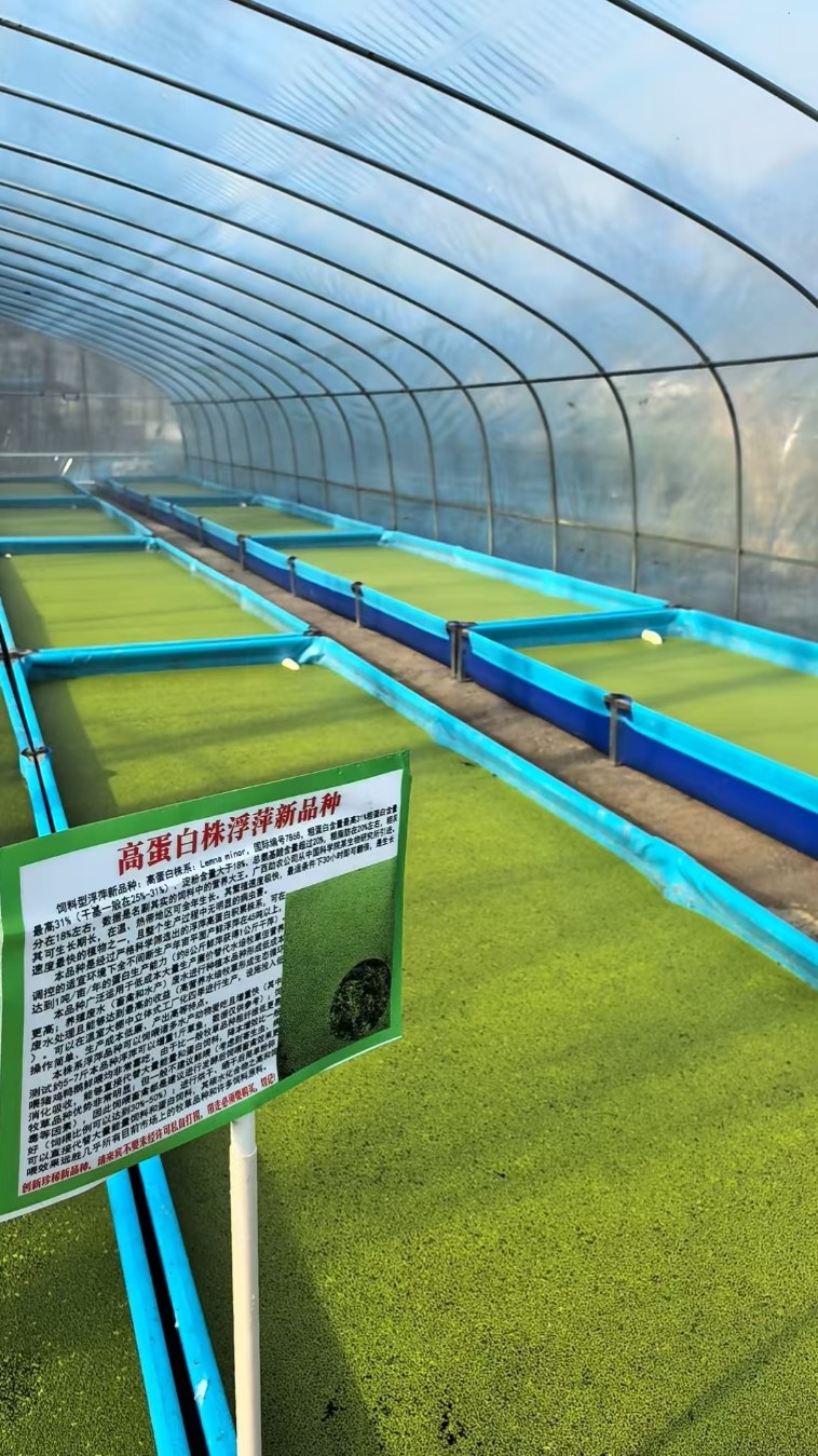 17467653346425840.jpg 17467653346425840.jpg