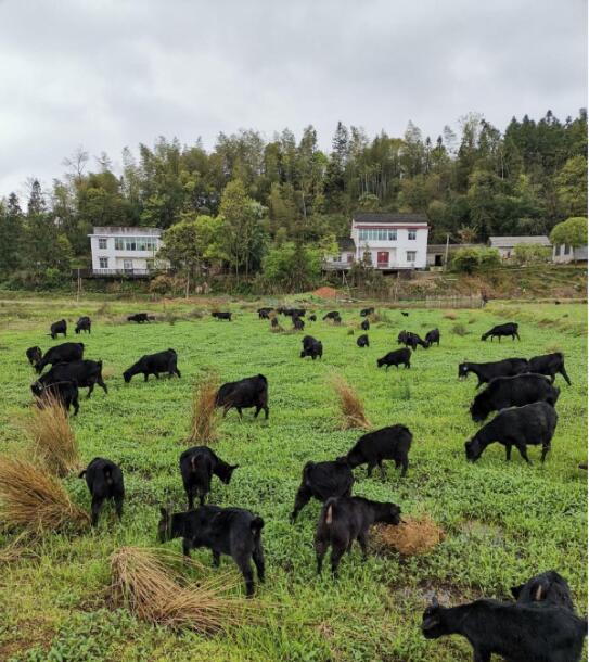 YTU1J426OU)D@80[JG4TSGN.jpg YTU1J426OU)D@80[JG4TSGN.jpg