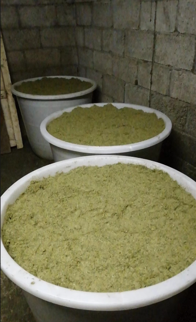 截图20260321095503.png 截图20260321095503.png