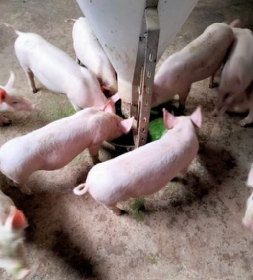 截图20260321095206.png 截图20260321095206.png