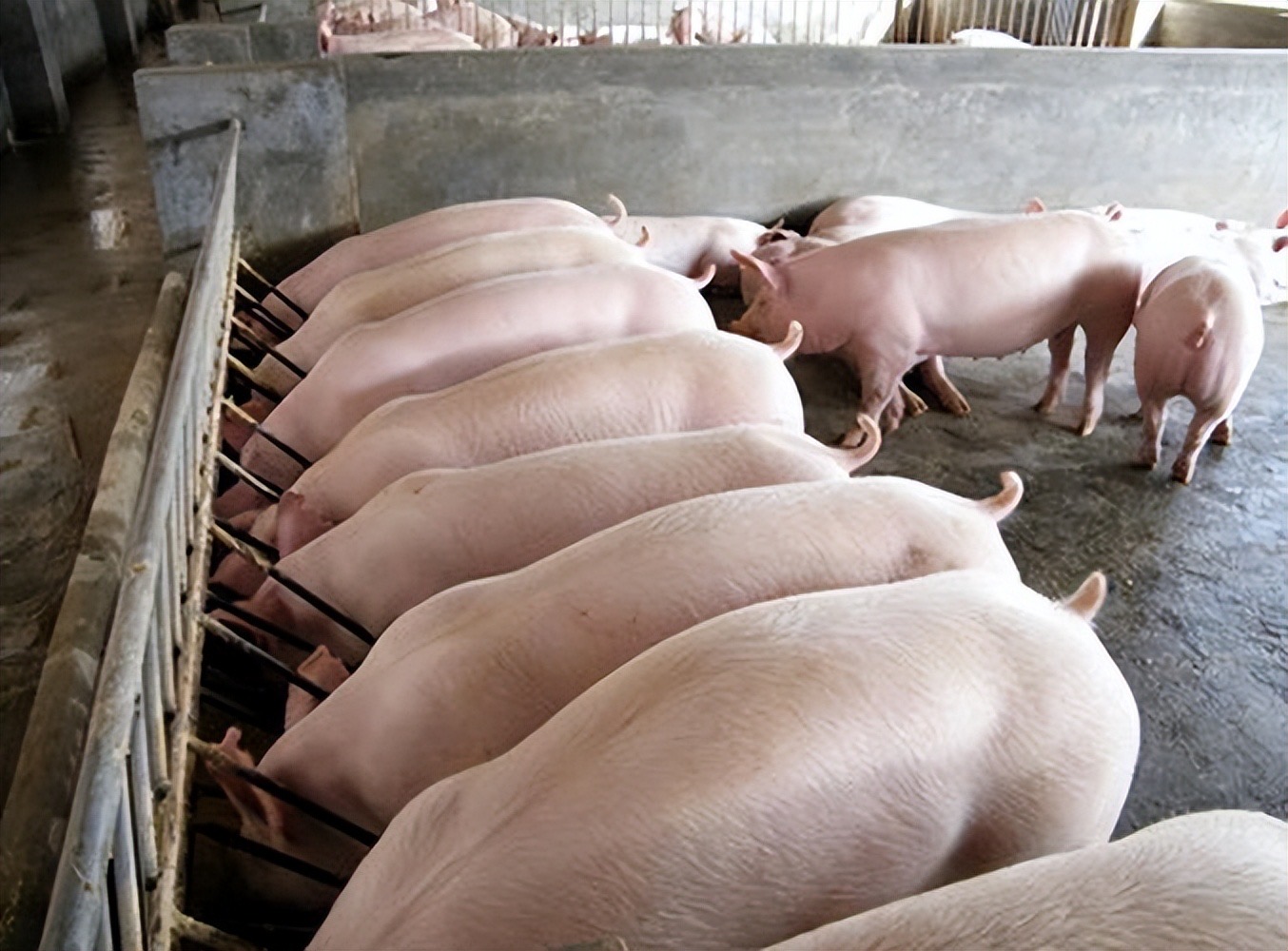 cbe951a3cd9d16758c6d2fe5d31417eb.jpg cbe951a3cd9d16758c6d2fe5d31417eb.jpg