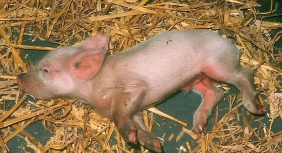 截图20260325091147.png 截图20260325091147.png