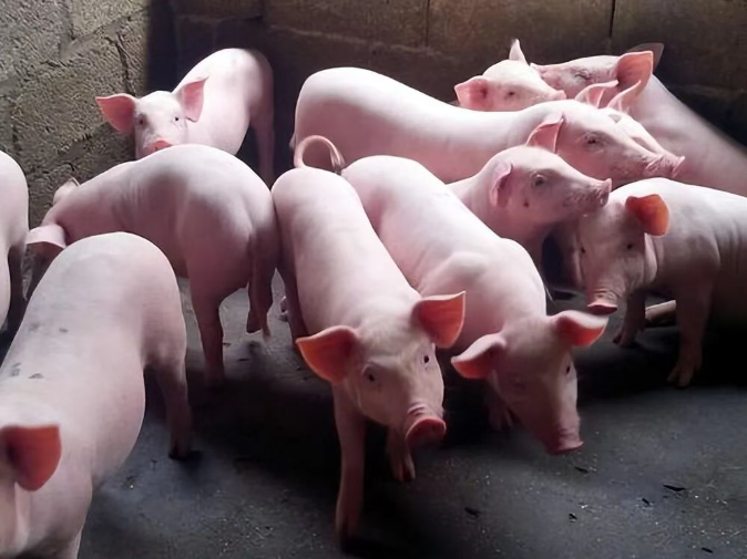 截图20260326091528.png 截图20260326091528.png