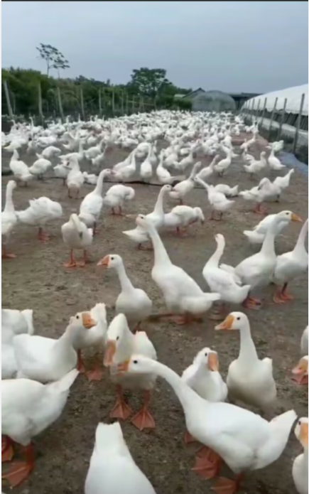 QQ图片20230309170956.png QQ图片20230309170956.png