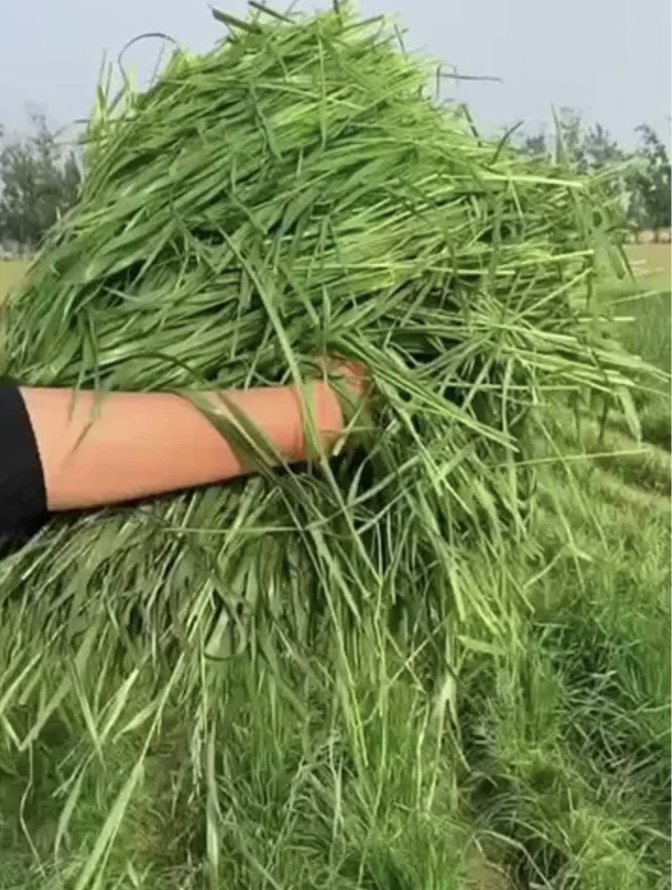 截屏2026-03-26 15.24.10.png 截屏2026-03-26 15.24.10.png