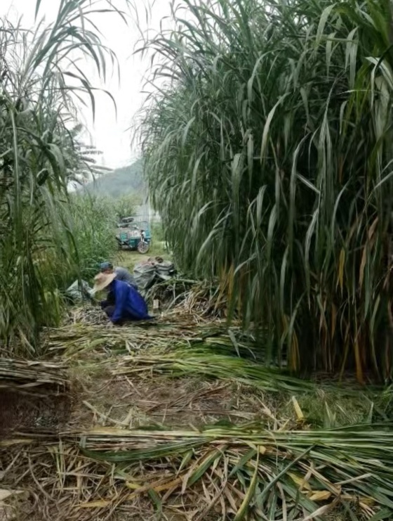 DE8A8675AE5A0FB4BC7B5929C7E78E9A.jpg DE8A8675AE5A0FB4BC7B5929C7E78E9A.jpg