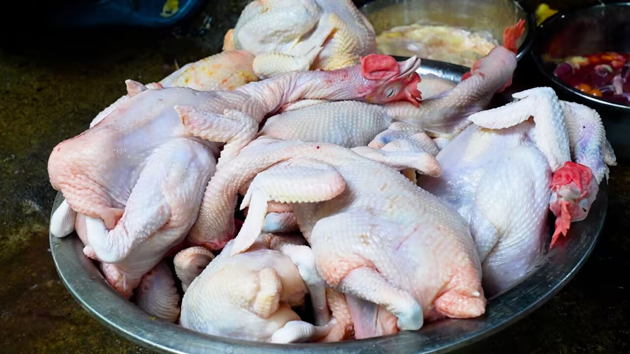 547723b8fd6db0ae0b1211ee1719ec02_720.jpg 547723b8fd6db0ae0b1211ee1719ec02_720.jpg