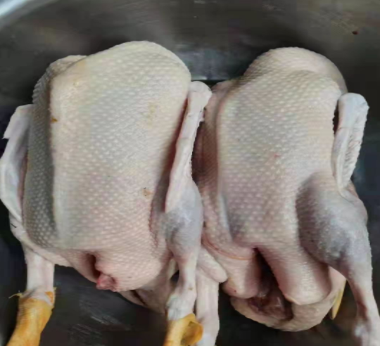 QQ图片20240615124100.png QQ图片20240615124100.png