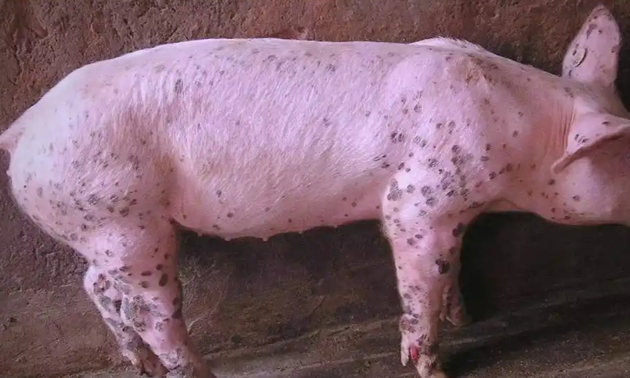 截图20260331092248.png 截图20260331092248.png