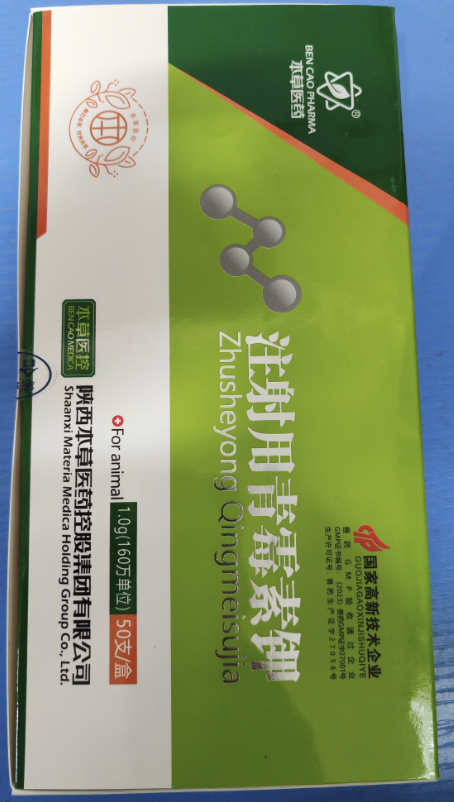 b6647728-baa5-4b3e-825f-0b106973dd48.png