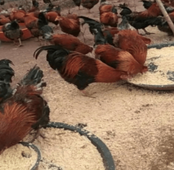 微信截图_20260407104124.jpg 微信截图_20260407104124.jpg