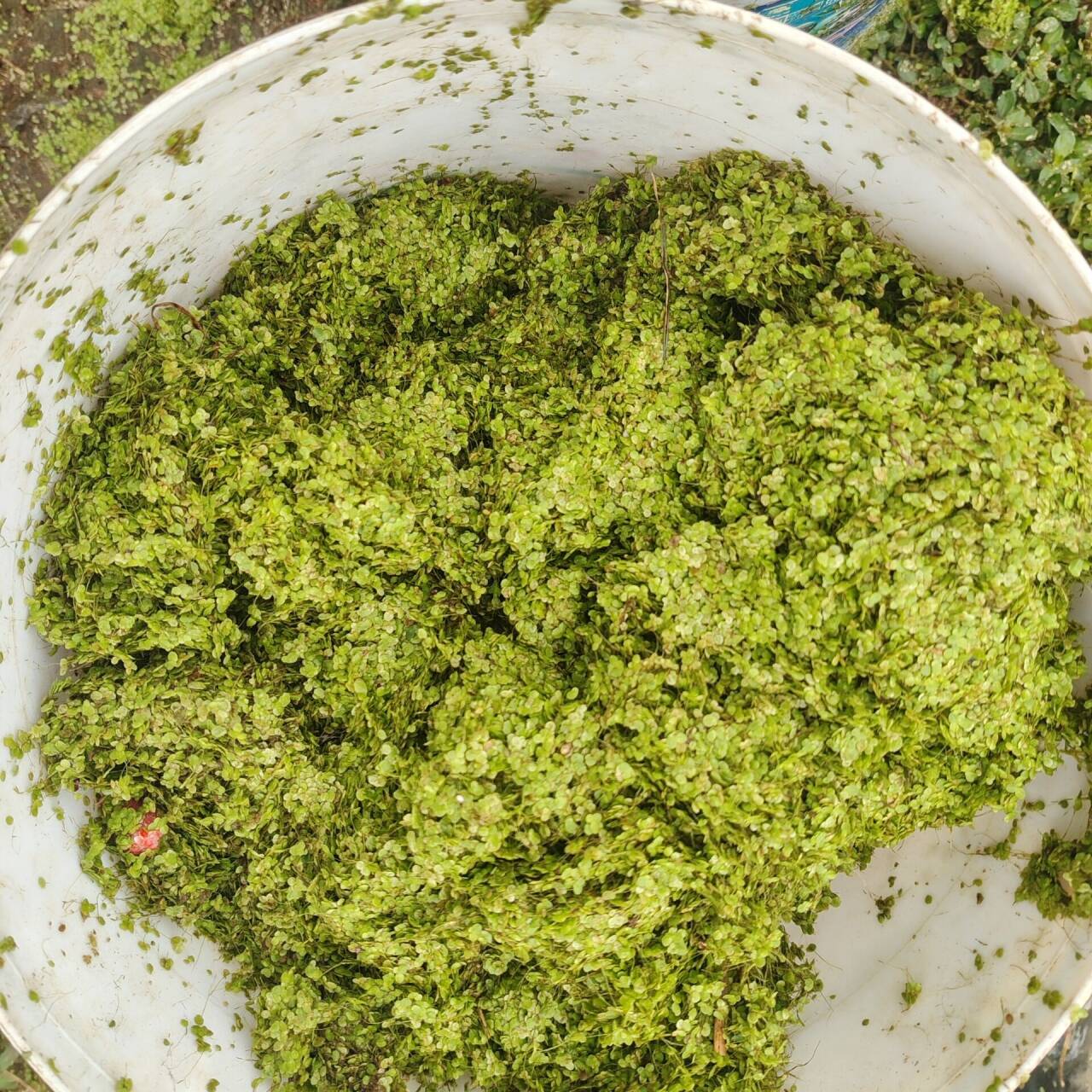 9d0c03330528eef40c6111be52766a0d_720.jpg 9d0c03330528eef40c6111be52766a0d_720.jpg