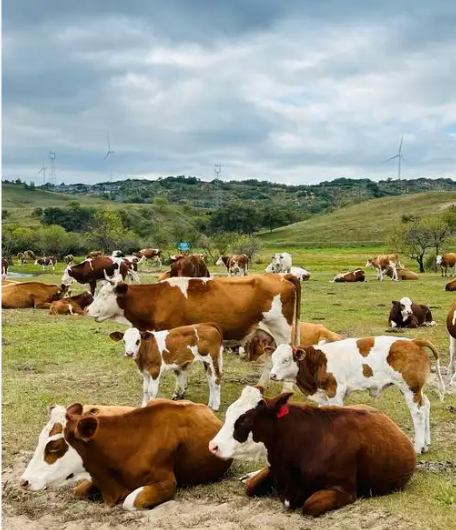 截图20260408092805.png 截图20260408092805.png