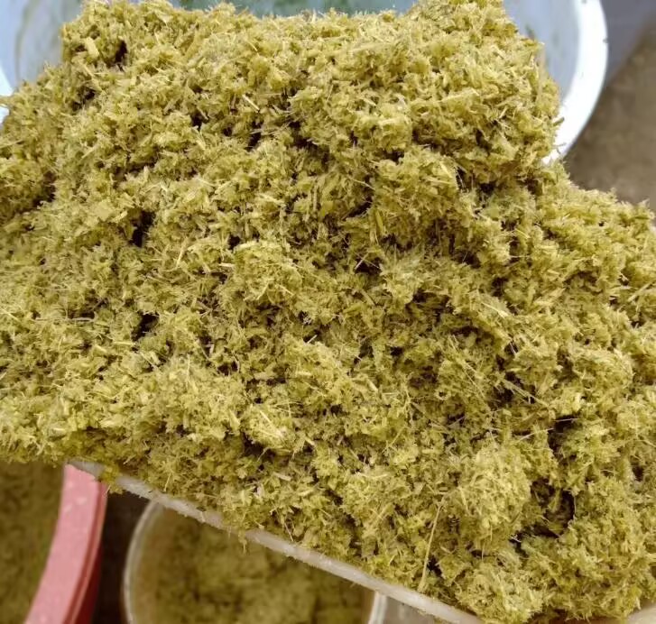 1fa649b6ba6e4ad3664056078f09d90c_720.jpeg 1fa649b6ba6e4ad3664056078f09d90c_720.jpeg