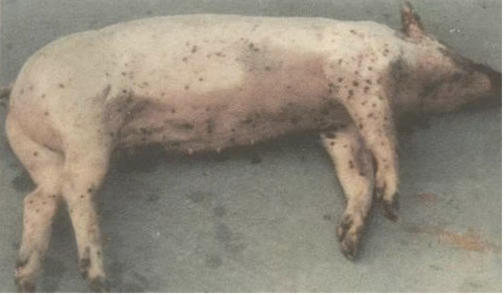 截屏2026-04-09 15.25.28.png 截屏2026-04-09 15.25.28.png