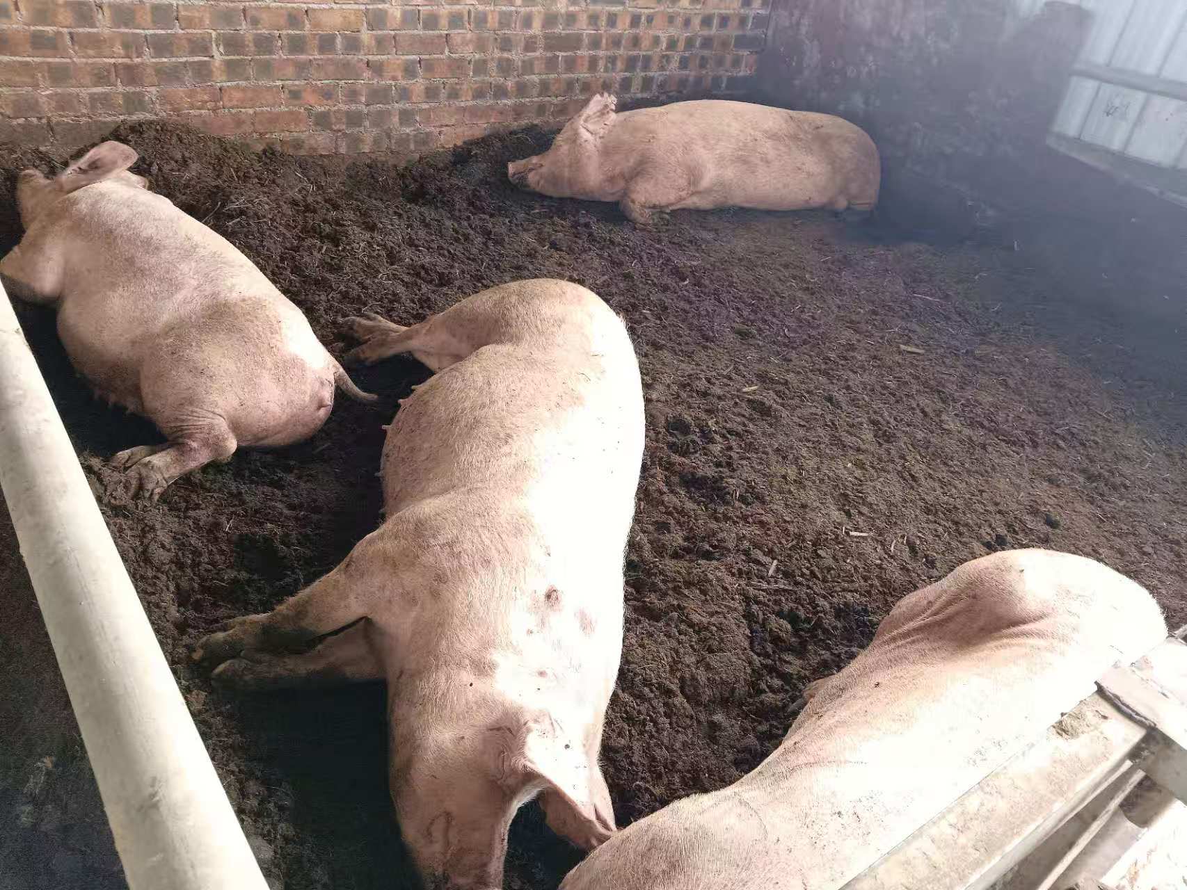 微信图片_20260409165108_65_203.jpg 微信图片_20260409165108_65_203.jpg