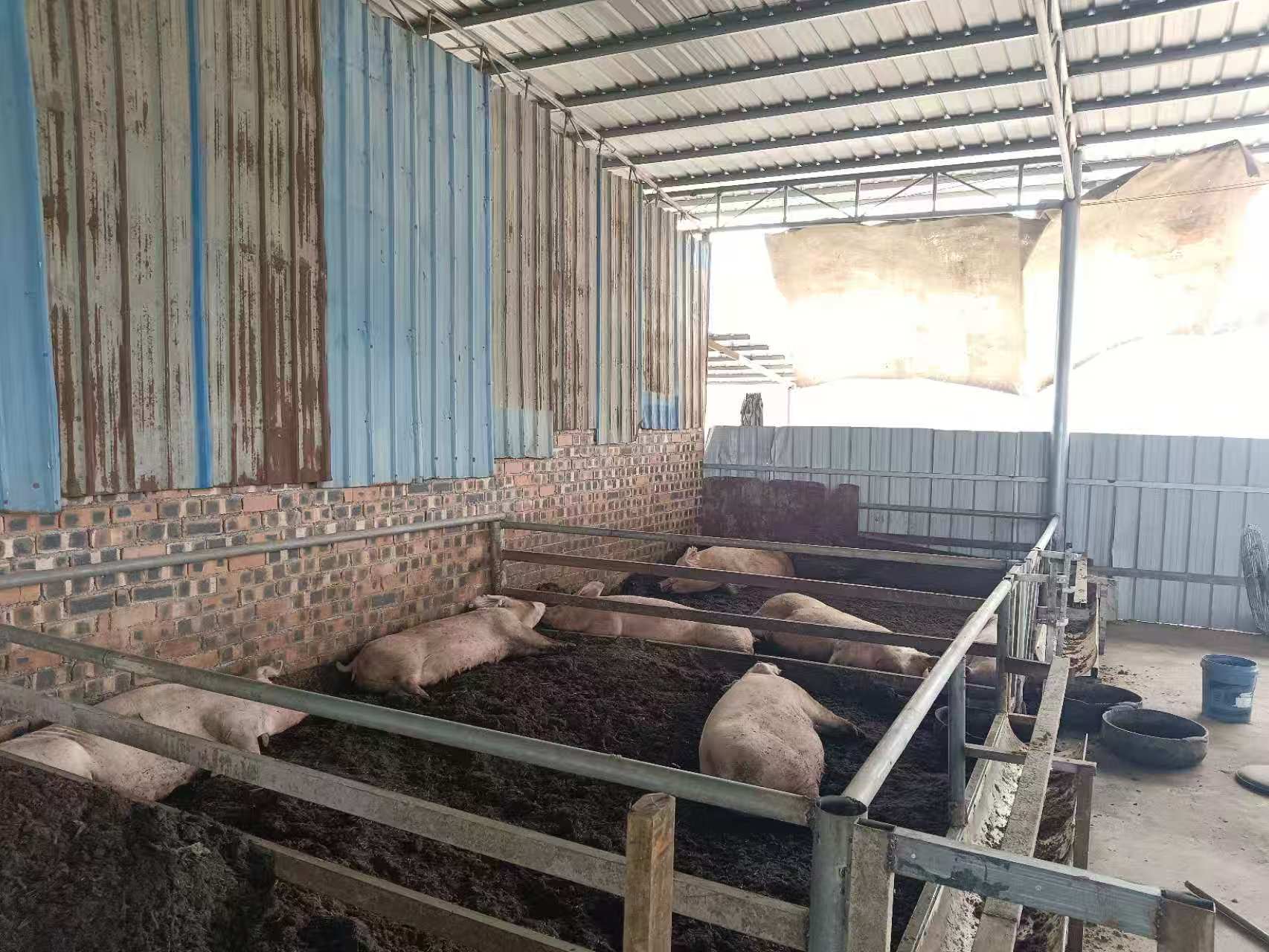 微信图片_20260409165116_66_203.jpg 微信图片_20260409165116_66_203.jpg