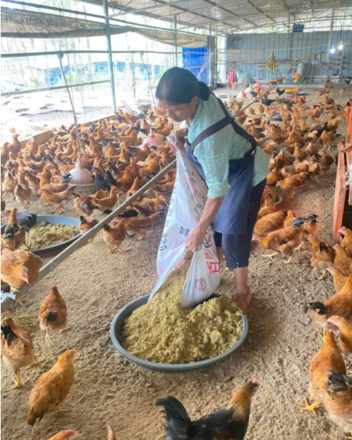 17702739353929060.png 17702739353929060.png