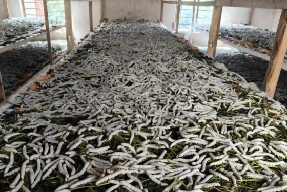 AD89E40F25DC2DF084D86811DD2FEFAC.png AD89E40F25DC2DF084D86811DD2FEFAC.png