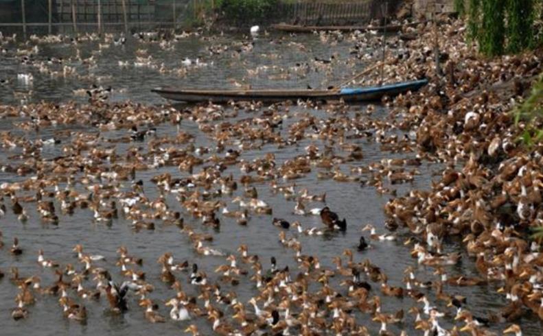 17240415828000319.jpg 17240415828000319.jpg