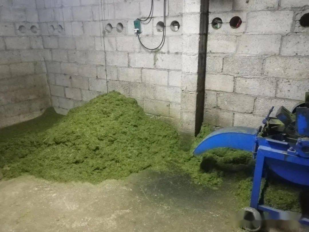 17289626719041136.jpg 17289626719041136.jpg