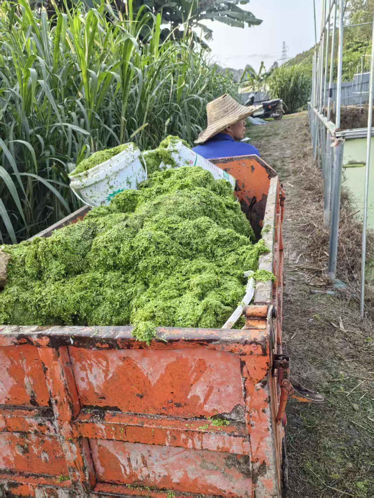 d0a4b28f4dbeb93483f6b58213c5e941_720.jpg d0a4b28f4dbeb93483f6b58213c5e941_720.jpg