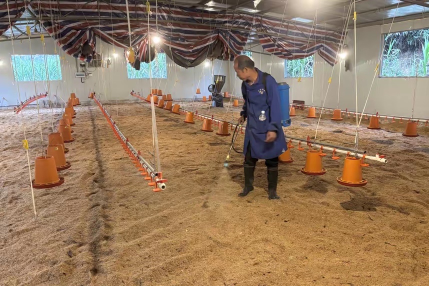 17407140576468412.jpg 17407140576468412.jpg