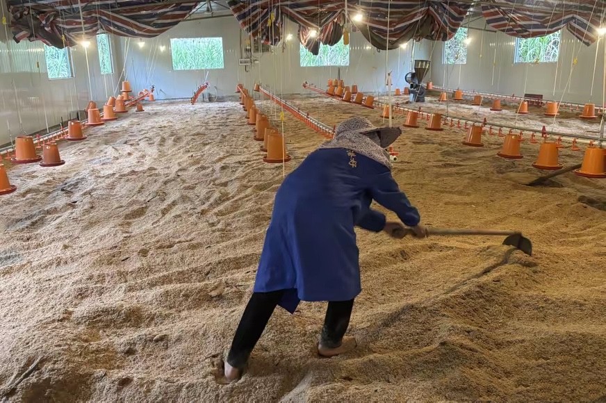 17407140163277433.jpg 17407140163277433.jpg