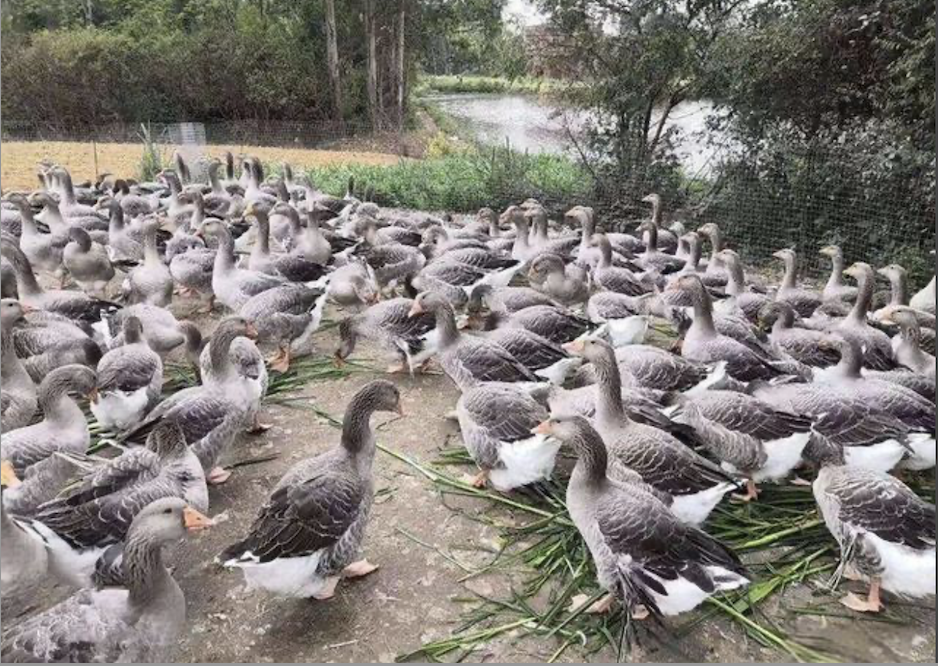 截屏2026-04-21 10.11.12.png