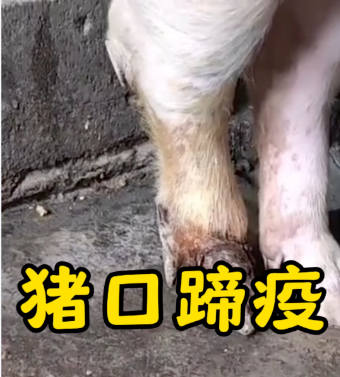 截图20260506091100.png