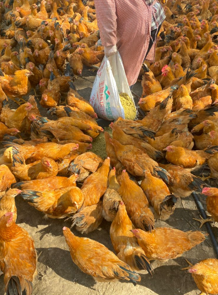 QQ图片20250402112444.png